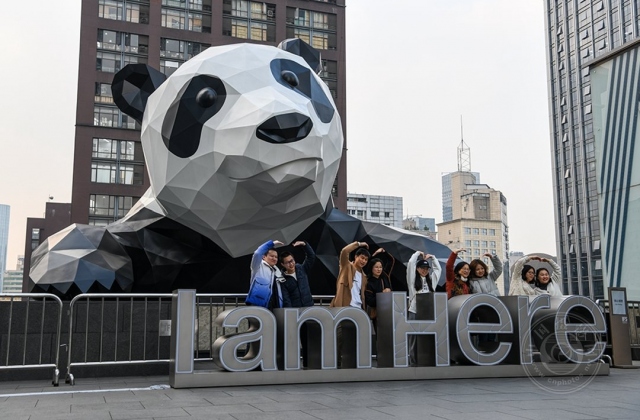 中國攝影網簽約攝影師張西南：熊貓在成都