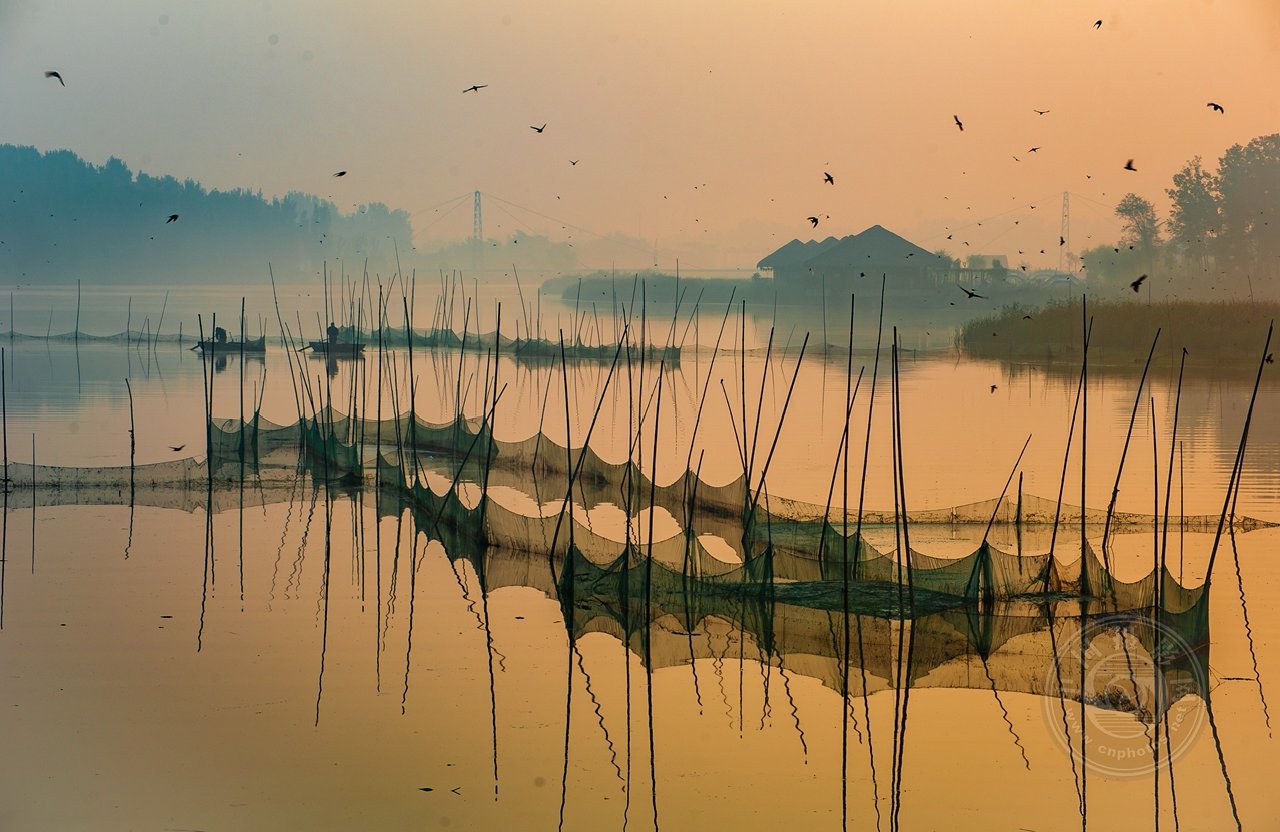 中國攝影網簽約攝影師周忠華《黃河岸邊我家鄉》