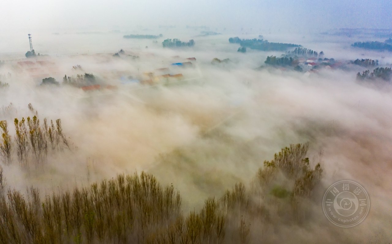 中国摄影网签约摄影师周忠华《黄河岸边我家乡》 第 23 张