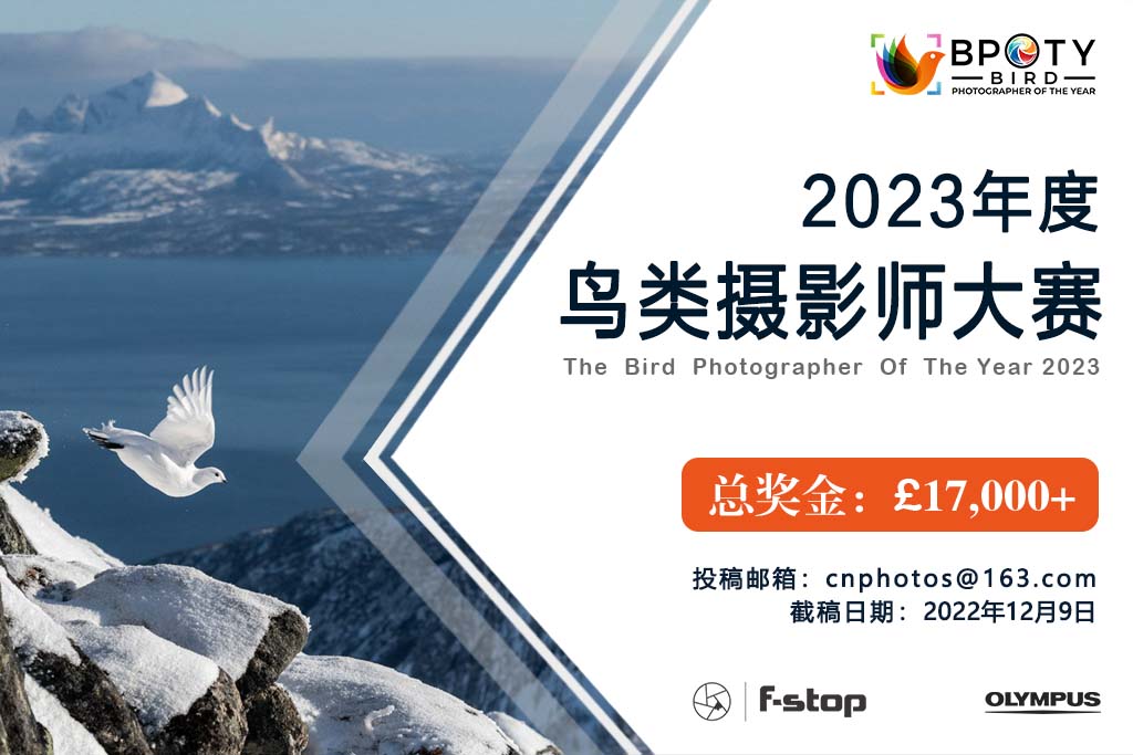 總獎金15萬+，2023年度鳥類攝影師大賽征稿啟動（截稿：12月9日）
