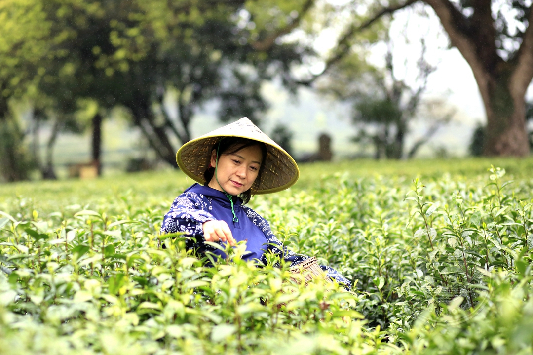 截稿提醒：4月26日，“天下径山茶”茶文化摄影大赛征稿