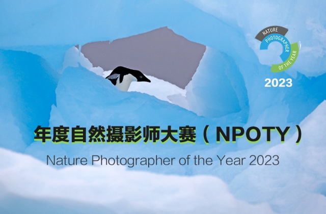 2023年度自然攝影師大賽（NPOTY）征稿啟事（截稿：5月28日）