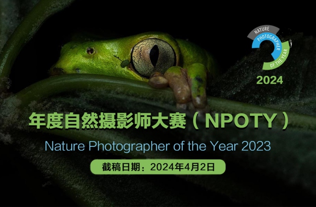 2024年度自然摄影师大赛（NPOTY）征稿启事（截稿：4月2日）