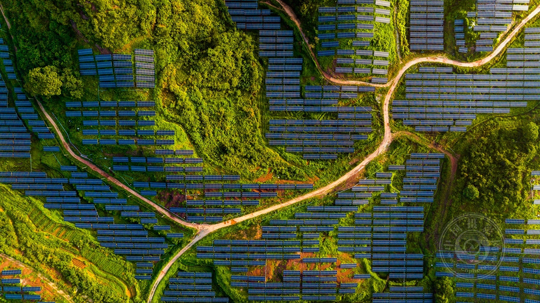 逸仙电商2024年总碳排放量下降617% title=